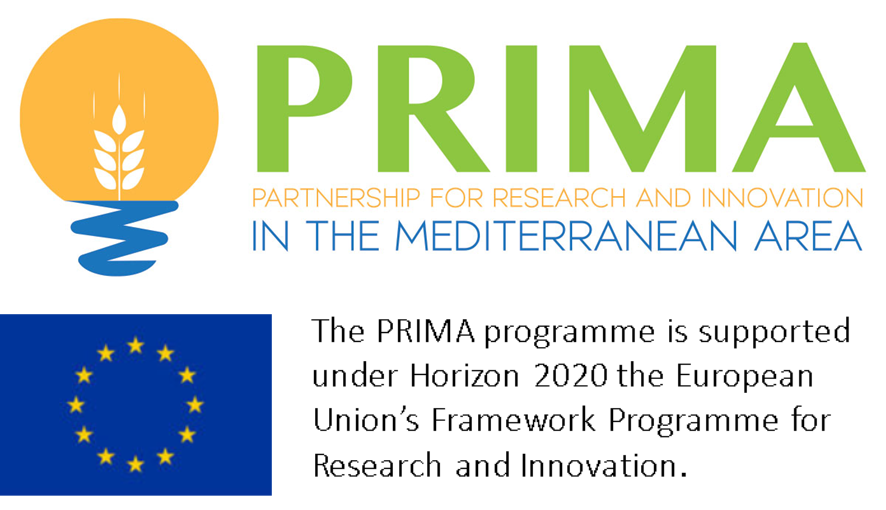 Parynership for Research and Innovation in the Mediterranean Area